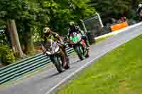 cadwell-no-limits-trackday;cadwell-park;cadwell-park-photographs;cadwell-trackday-photographs;enduro-digital-images;event-digital-images;eventdigitalimages;no-limits-trackdays;peter-wileman-photography;racing-digital-images;trackday-digital-images;trackday-photos